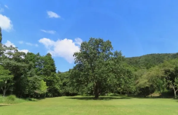 森林公園 くつきの森